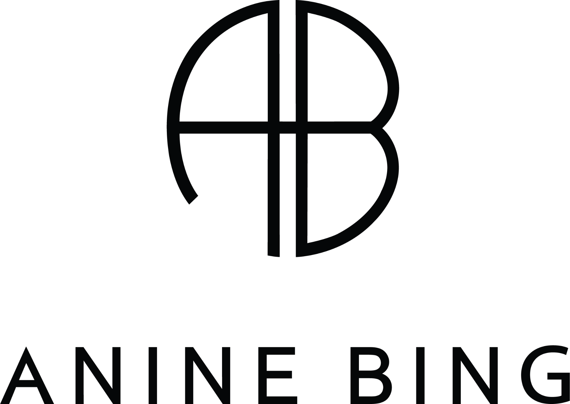Anine Bing